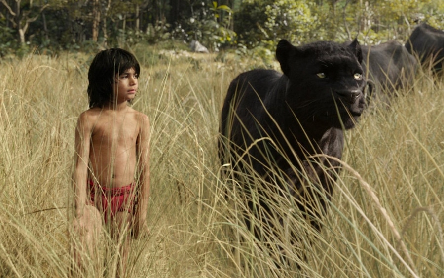 The Jungle Book